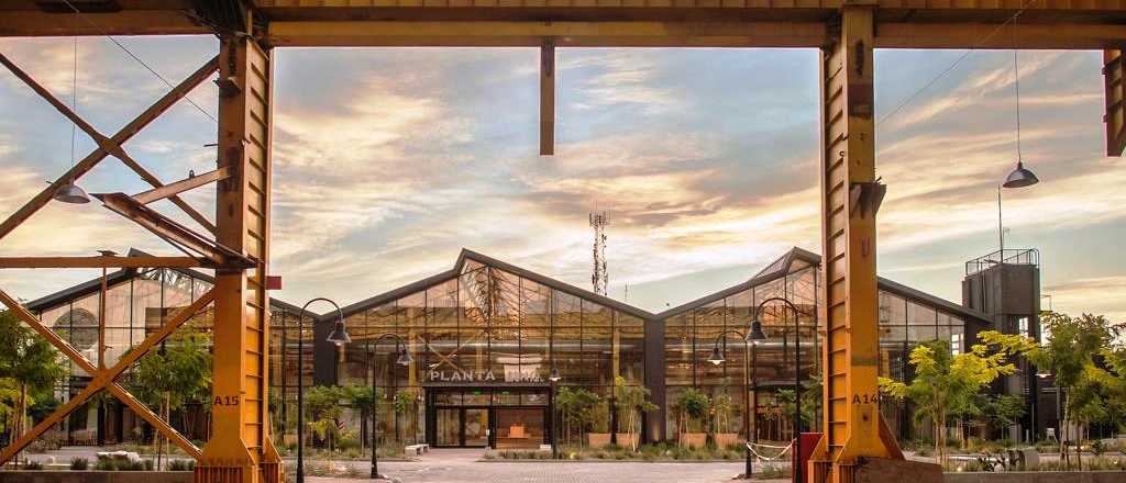 Durante tres d&iacute;as, Planta Uno ser&aacute; escenario de Flor de Feria