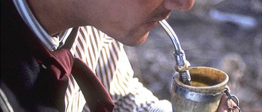 Vender&aacute;n yerba con cannabis en Uruguay