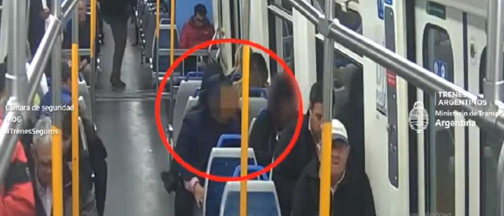 Video: acosó a una mujer en el tren y fue detenido
