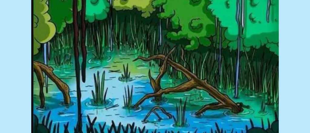 &iexcl;Solo para habilidosos! Pon&eacute; a prueba tu visi&oacute;n y encontr&aacute; al cocodrilo 