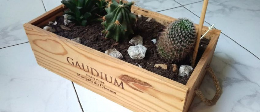 Cinco ideas creativas para reciclar cajas de vino en jardines y macetas