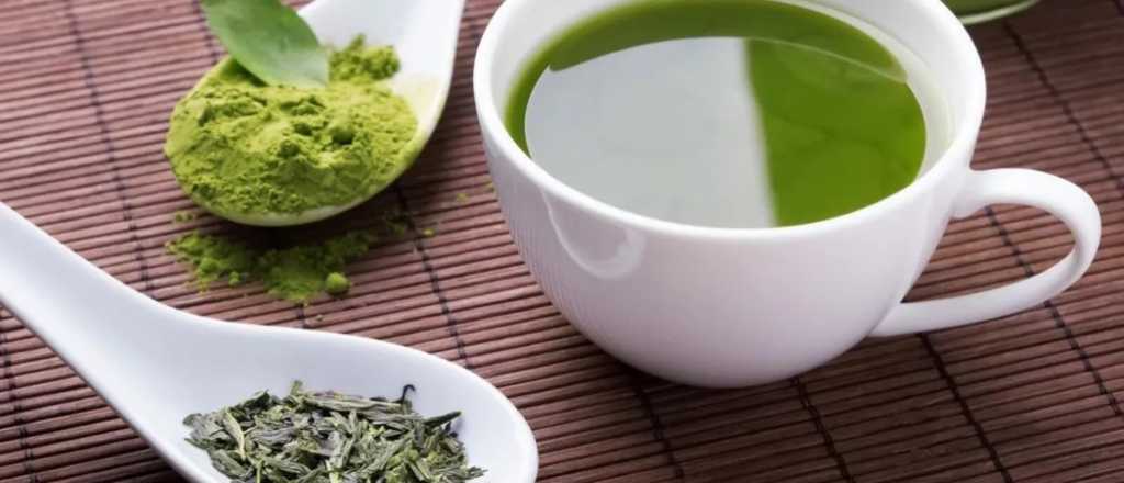 El t&eacute; que protege el cerebro y ayuda a mejorar la memoria y concentraci&oacute;n