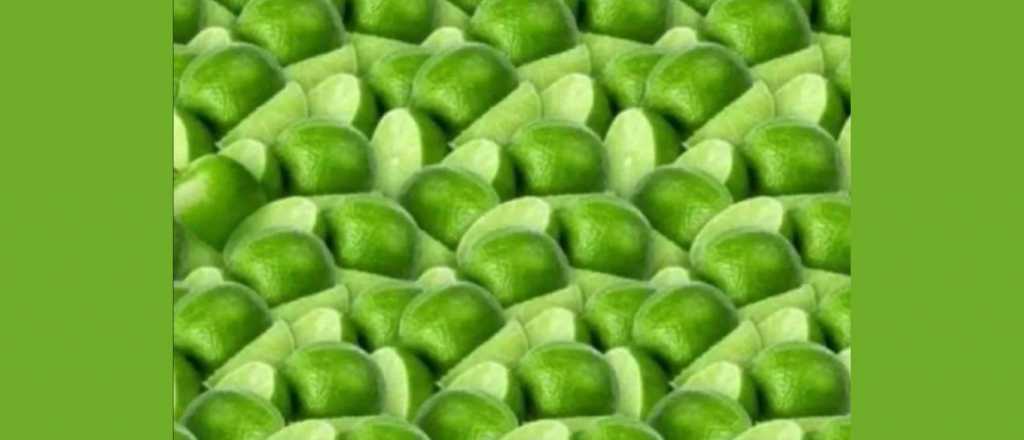 Acertijo viral: &iquest;Pod&eacute;s encontrar la manzana escondida en la imagen?