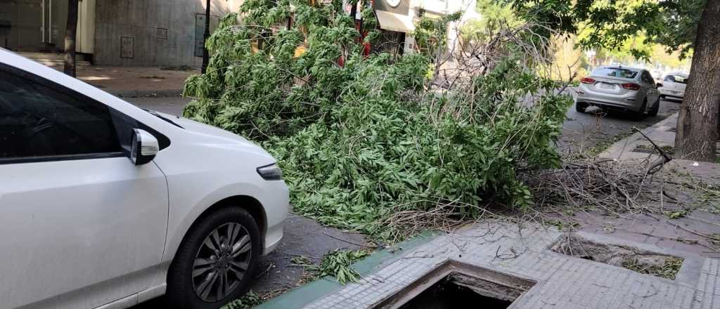 Baj&oacute; otra vez el Zonda al Gran Mendoza y se reactiv&oacute; el incendio en El Challao