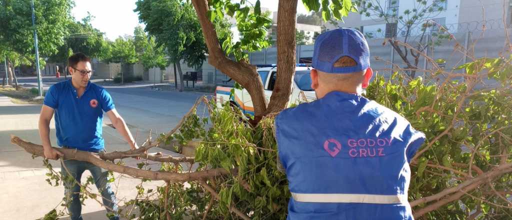 Godoy Cruz: calles cortadas y once casas dañadas por el Zonda