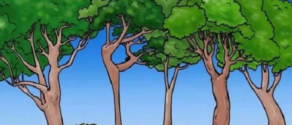 &iexcl;S&oacute;lo para habilidosos! &iquest;Pod&eacute;s encontrar a la bailarina escondida?