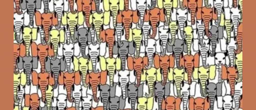 Acertijo visual: debes hallar el panda oculto en 10 segundos
