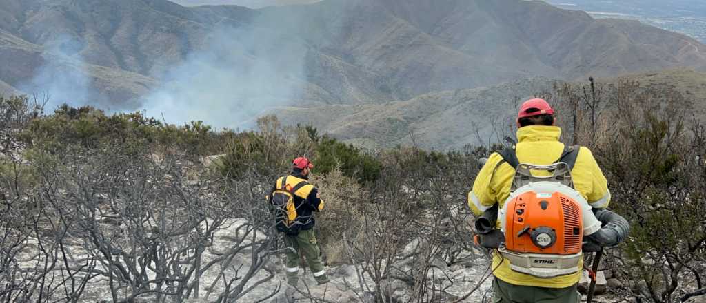 Fundación Cullunche sobre los incendios forestales: "Es una tragedia ambiental"
