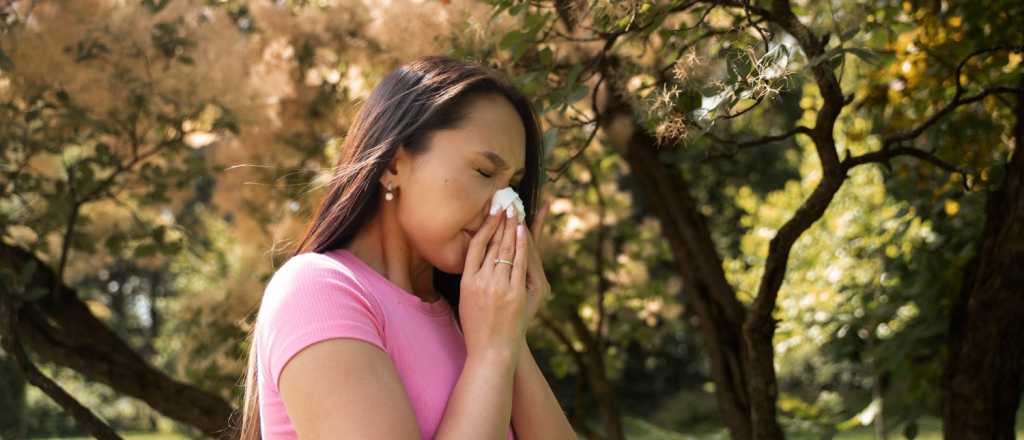 Nueve plantas medicinales para vencer la alergia primaveral