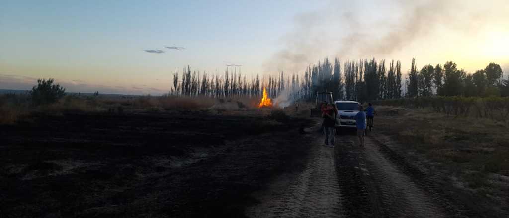 Un incendio arrasó con 20 hectáreas de una finca de El Carrizal