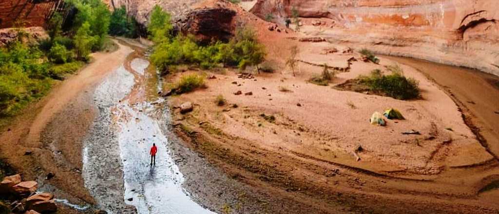 Horóscopo de hoy: qué esperan los signos para este miércoles 12