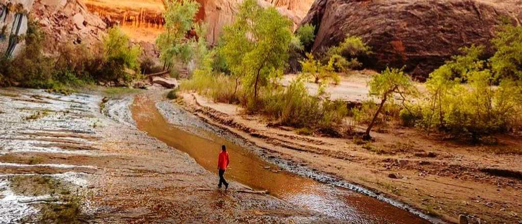 Horóscopo de hoy: qué esperan los signos para este lunes 11