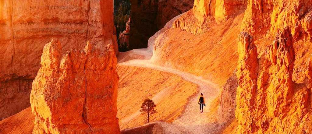 Horóscopo de hoy: qué esperan los signos para este miércoles 8