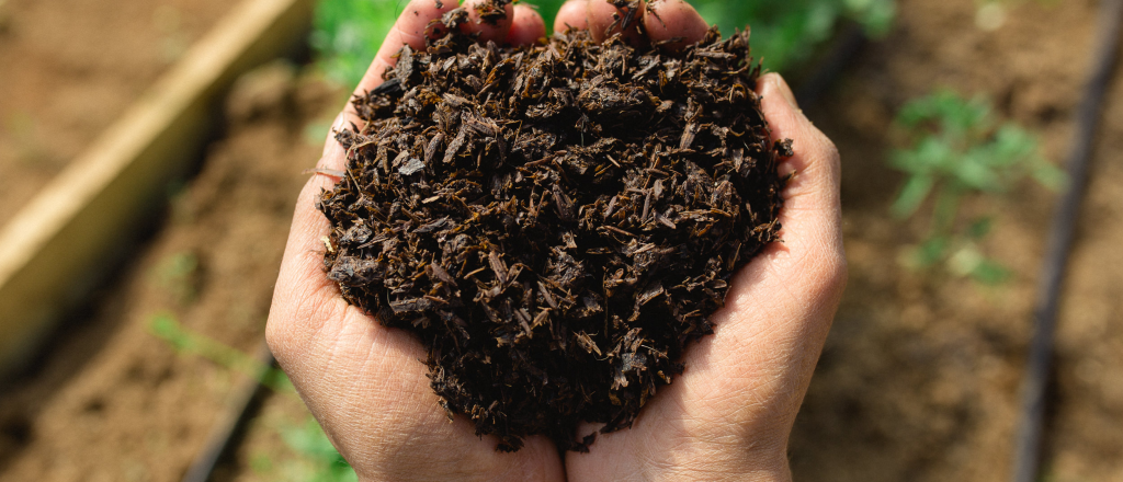 Compost bocashi: el secreto para un huerto saludable