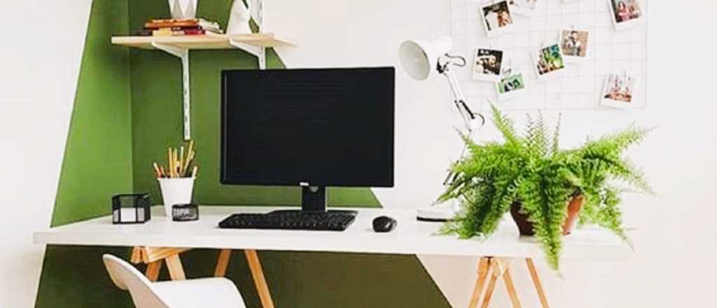 Plantas en el trabajo, hac&eacute; que tu espacio de oficina se vuelva verde