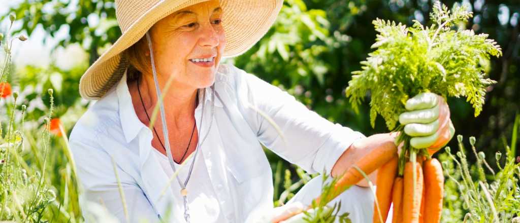 "Huerterapia": cómo cultivar tu bienestar a través del huerto