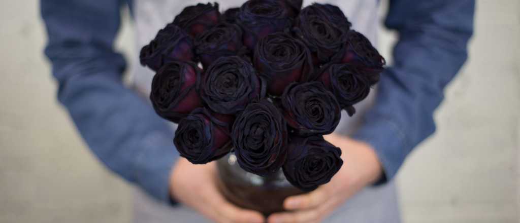 Rosas negras: ¿existen naturalmente o son creaciones humanas?