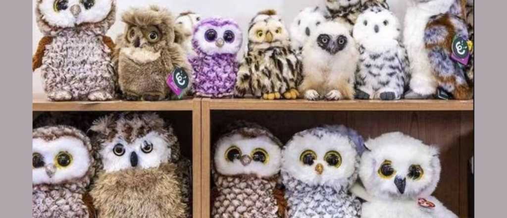 Reto visual: &iquest;Pod&eacute;s&nbsp;encontrar al b&uacute;ho real de la imagen?