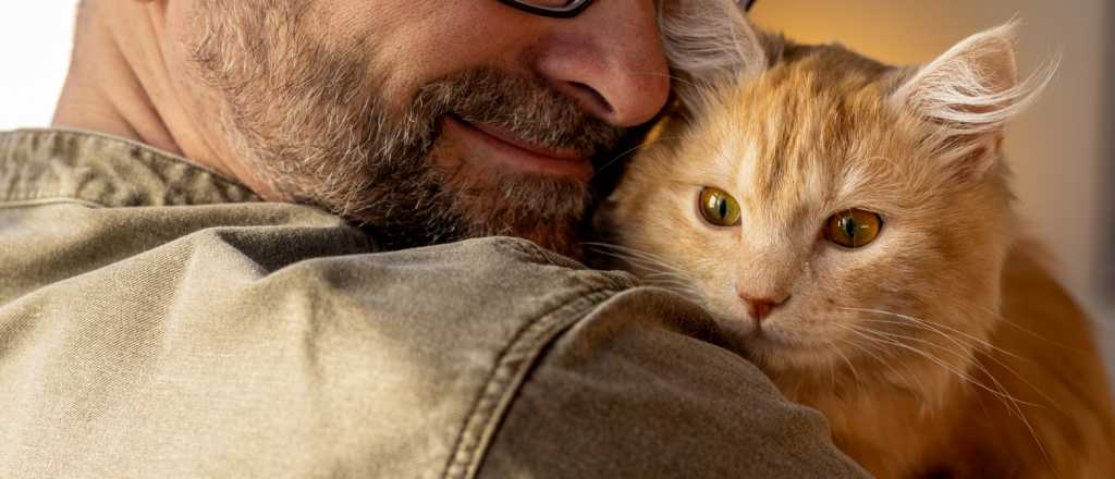 ¿Tu gato te quiere? Un estudio reveló los sorprendentes lazos afectivos con sus dueños