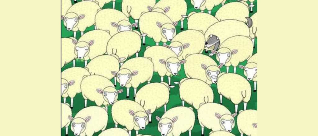 &iquest;Pod&eacute;s encontrar al lobo escondido entre las ovejas?