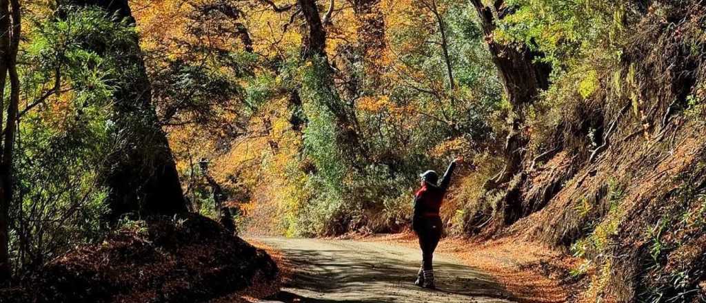 Horóscopo de hoy: qué esperan los signos para este martes 19