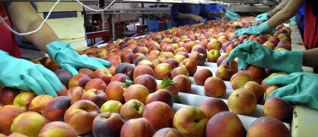 El Gobierno desreguló el mercado de frutas y limitó el trabajo de Senasa
