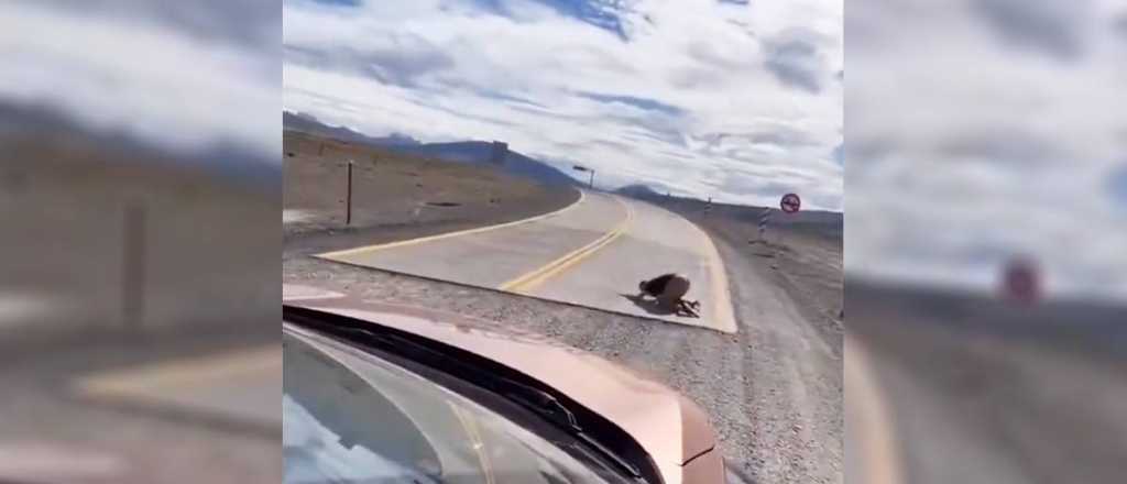 Video: un escocés besó el asfalto del lado chileno tras cruzar desde Argentina
