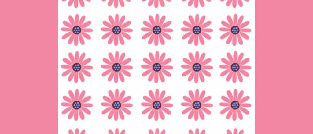 Prueba visual: &iquest;Pod&eacute;s encontrar cu&aacute;l es la flor distinta al resto?