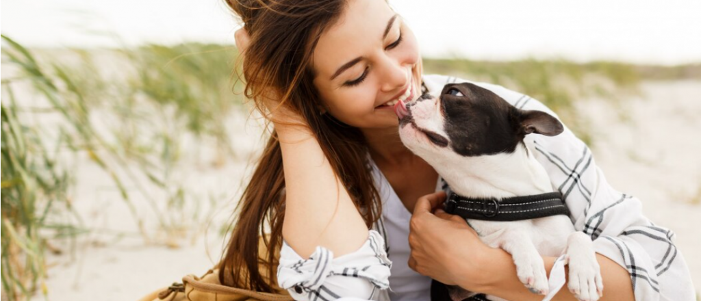 Por qué los perros lamen: significados, orígenes y consejos útiles