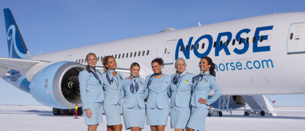 Un Boeing aterriz&oacute; en el hielo de la Ant&aacute;rtida