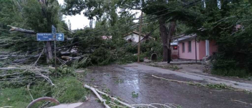 Videos: el d&iacute;a despu&eacute;s del Zonda en Malarg&uuml;e y el alerta que sigue