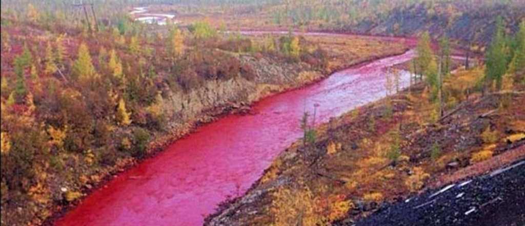 ¿Por qué el río Nilo se tiñó de rojo sangre, fenómeno natural o pasaje bíblico?