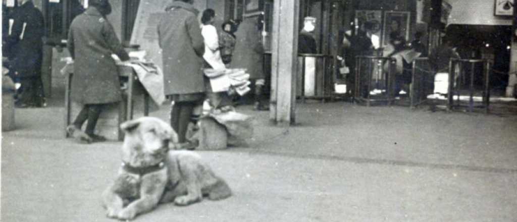 Apareció una foto inédita del perro Hachiko esperando a su dueño