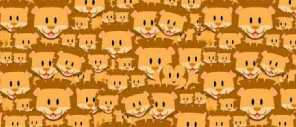 &iexcl;S&oacute;lo para habilidosos!: Muy pocos logran ver al mono oculto entre los leones