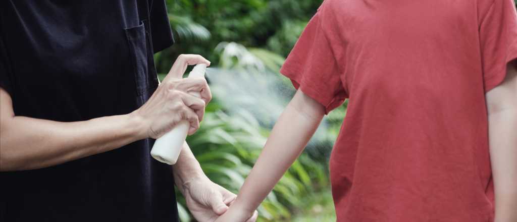 Lanzan una gu&iacute;a sobre qu&eacute; repelentes de insectos conviene usar