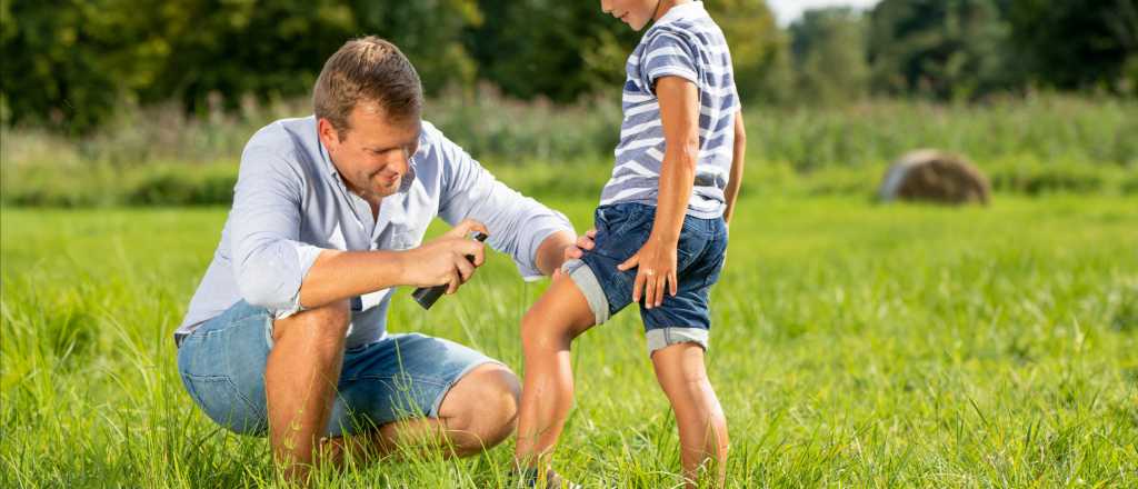 ¿Bronceador o repelente, qué va primero para protegerte de mosquitos?