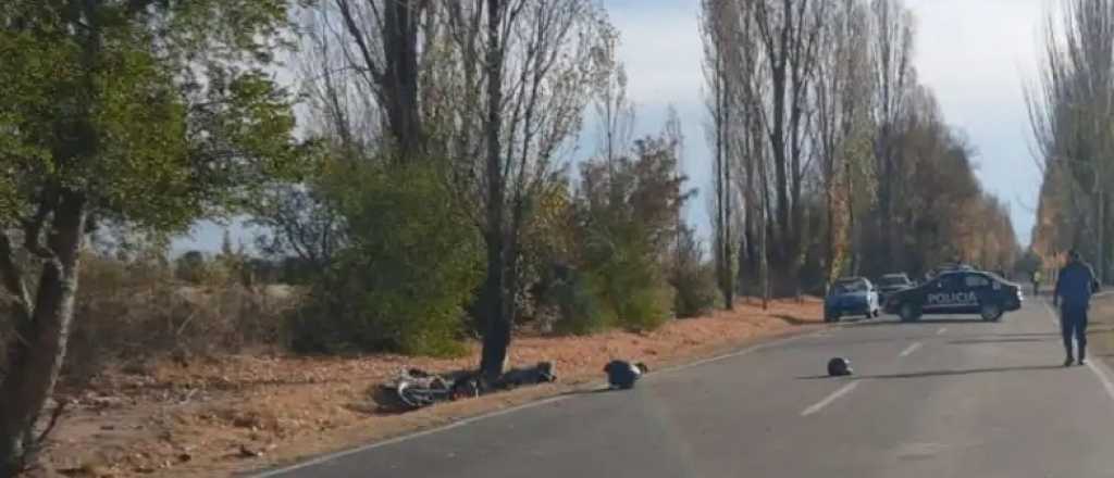 Un sanjuanino choc&oacute; en Mendoza y debieron cortarle una pierna