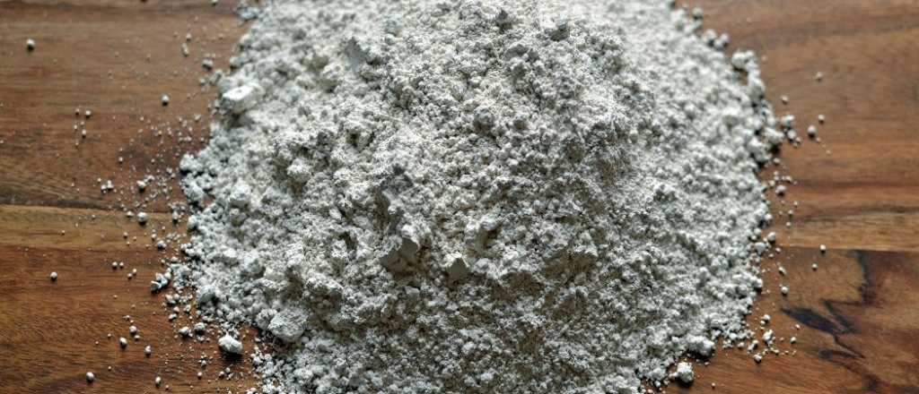 El abono definitivo para tus plantas