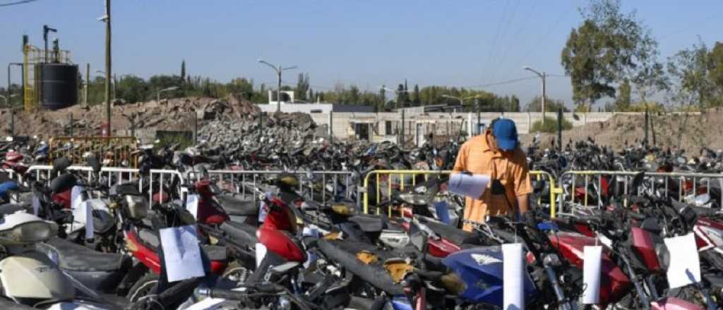 El remate de Guaymall&eacute;n recaud&oacute; casi 23 millones de pesos