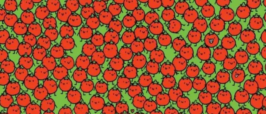 Acertijo visual: ¿podés encontrar la manzana oculta entre los tomates?