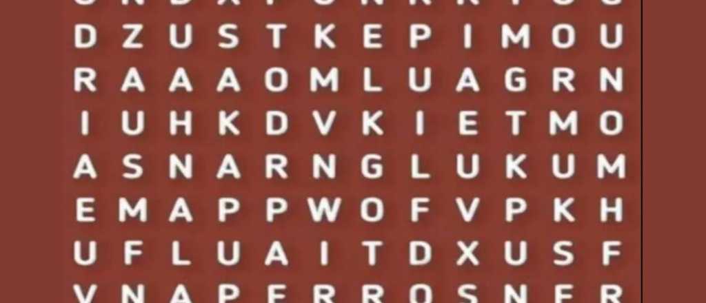 Sopa de letras: ¿podrás encontrar la palabra "perro"?