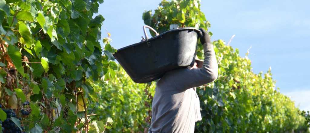 Explotaci&oacute;n en una finca de Maip&uacute;: los ten&iacute;an sin agua y les reten&iacute;an el DNI