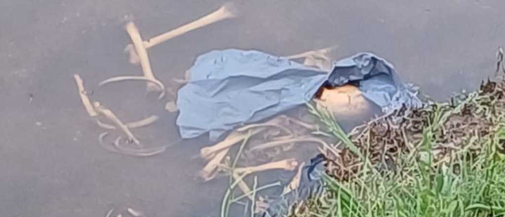 Macabro: hallaron huesos humanos dentro de una bolsa en un río