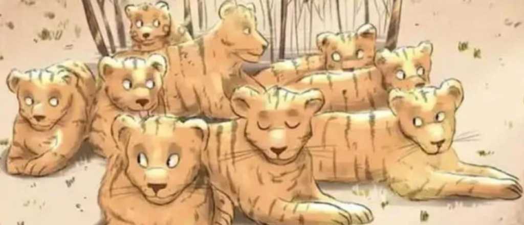 Prueba viral: &iquest;Pod&eacute;s encontrar el rat&oacute;n escondido entre las ardillas?