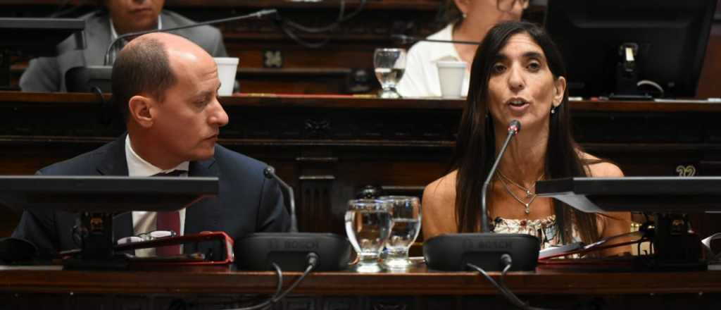 Natacha Eisenchlas es la nueva jefa de Cambia Mendoza en el Senado