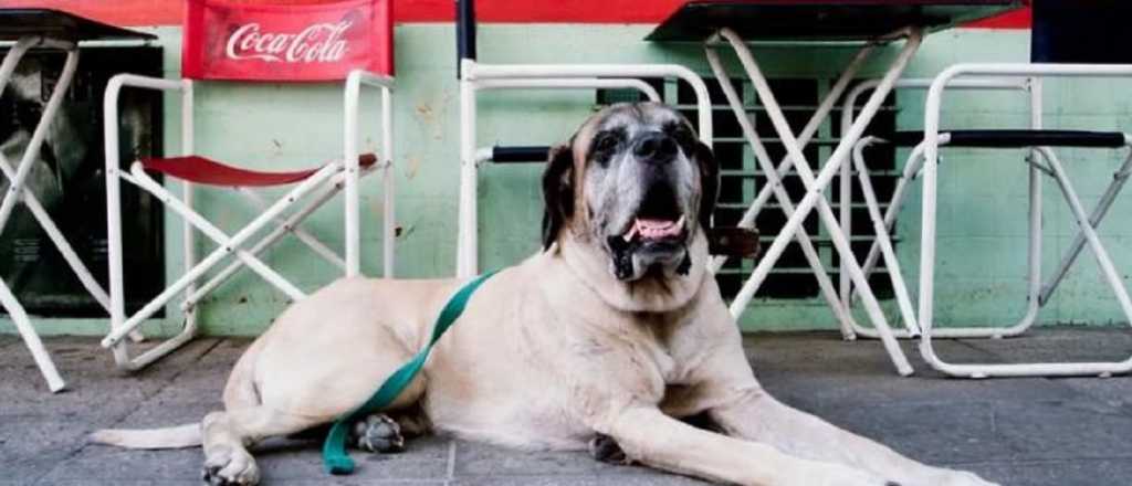 Intimidades de la charla entre Karina Milei y el verdadero Presidente