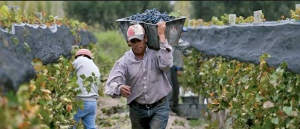 El Gobierno de Milei reformuló las retenciones a la vitivinicultura y el mosto