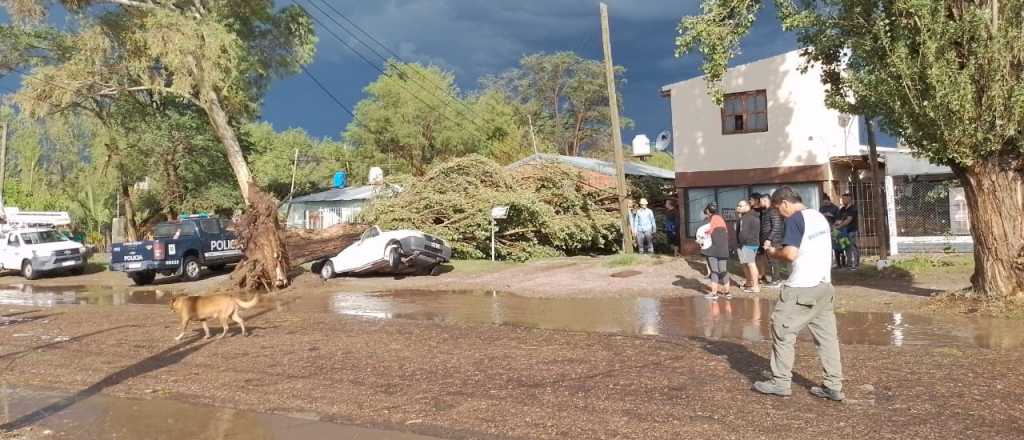 Fotos: el desastre que dej&oacute; la tormenta en San Rafael