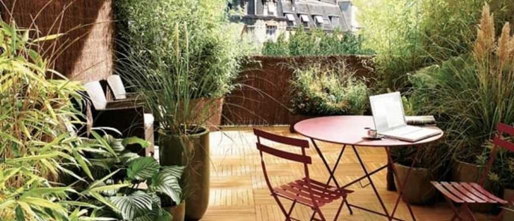 Creá un oasis urbano: Decorá  tu terraza con plantas y estilo