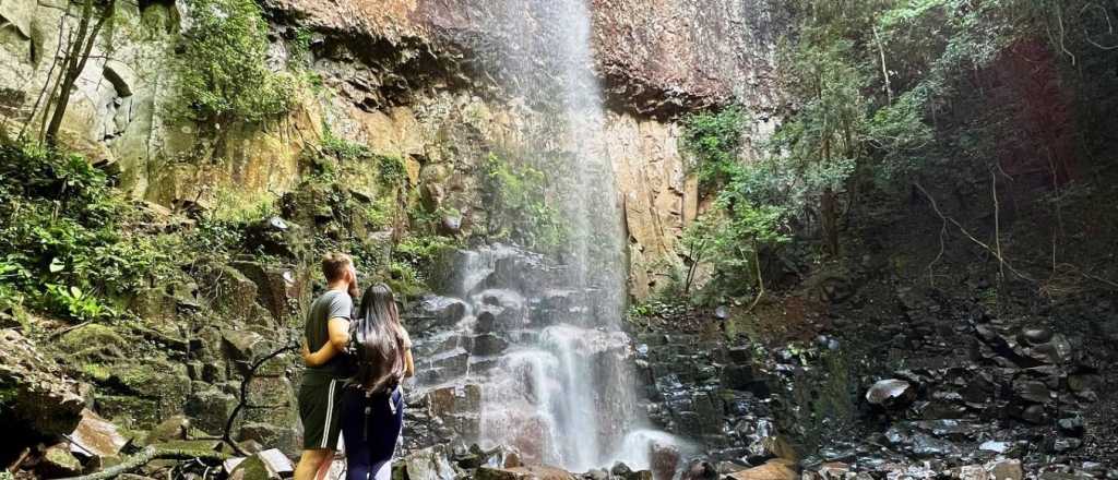 Horóscopo de hoy: qué esperan los signos para este jueves 8